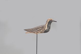 Rare Dropped-Thigh Black-Bellied Plover Decoy, Joseph W. Lincoln (1859-1938)