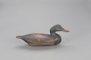 Early and Important Mallard Drake Decoy, Henry Ruggles (1830-1897)