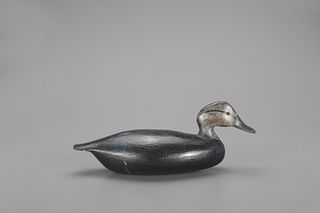 Black Duck Decoy, Harvey Stevens (1847-1894)