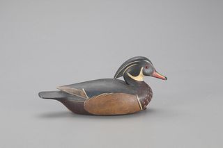 Wood Duck, Ian T. McNair (b. 1981)