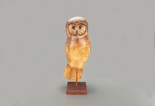 Owl, Frank S. Finney (b. 1947)