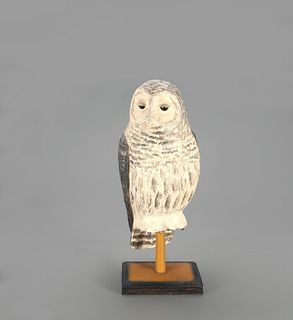 Barred Owl, Frank S. Finney (b. 1947)