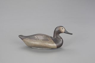 Miniature Canvasback Hen, James T. Holly (1855-1935)