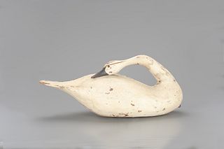 Contemporary Preening Swan 