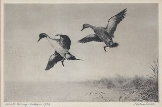 Roland H. Clark (1874-1957), Duck Stamp Design