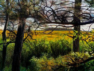 Jon Friedman, Wellfleet Audubon, Marsh View #2387
