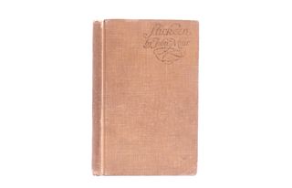 Stickeen by John Muir Rare Hardcover c. 1915