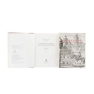 Tovar de Teresa, Guillermo. La Ciudad de los Palacios: Crónica de un Patrimonio Perdido. México, 1990. 1a edición. Tomos I-II. Pz:2.