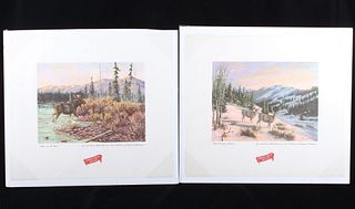 Great Falls Select Peters Wildlife Prints