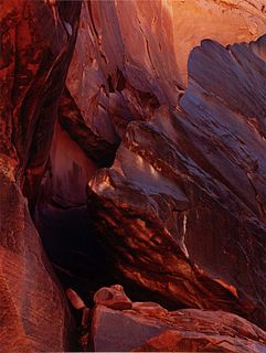 Eliot Porter
(American, 1901-1990)
Glen Canyon (8 of 10 photographs), 1983