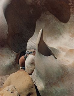 Eliot Porter
(American, 1901-1990)
In Wildness (7 of 10 photographs), 1981
