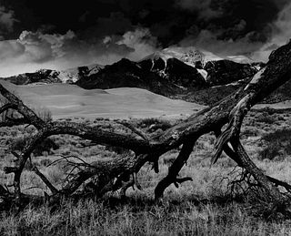 Michael Rubin
(American, 20th century)
Fallen Pine, Mount Blanca, The Great Dunes of Colorado, 1978