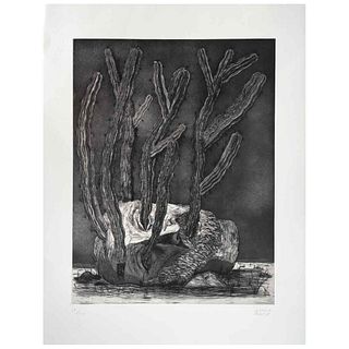 GUSTAVO MONROY, Untitled, Signed, Etching and aquatint on metal 19 / 30, 23.6 x 17.7" (60 x 45 cm)