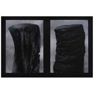 ALEJANDRO MONTOYA, Untitled, series Ergo, Signed, Ink and crayon on paper, 15.3 x 11" (39 x 28 cm) each, Pieces: 2, Certificate