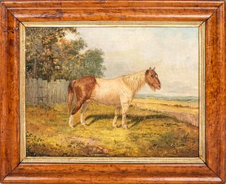 Illegibly Signed "Portrait of a Pony" Oil, Antique