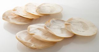 Mother-of-Pearl Shell Caviar Plates, Group of 8