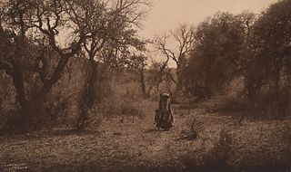 Edward Curtis, Among the Oaks - Apache (Crop Variant), 1903