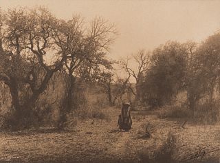 Edward Curtis, Among the Oaks - Apache, 1903
