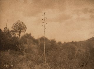 Edward Curtis, Mescal Hills - Apache, 1906