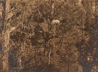 Edward Curtis, Infant Burial - Apache, 1906