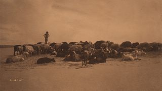 Edward Curtis, A Hopi Flock, 1905