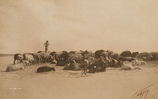 Edward Curtis, A Hopi Flock, 1906