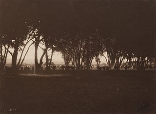 Edward Curtis, Under the Cottonwoods - Navaho, 1904