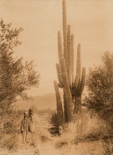 Edward Curtis, Gathering Cactus Fruit - Pima, 1907
