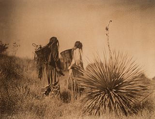 Edward Curtis, The Mescal Harvest - Apache, 1906