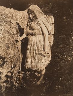 Edward Curtis, The Bark Gatherer - Makah, 1910