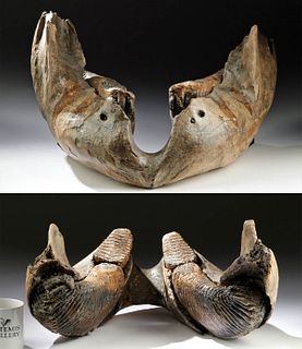 35,000 Year Old Serbian Ice Age Mammoth Jawbone