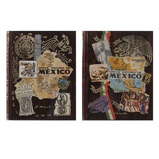 Vasconcelos, José. Breve Historia de México. México: Fernández Editores, 1967. 298 + 335 p. Tomos I-II. Primera edición. Piezas: 2.