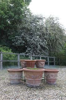 A collection of terracotta garden pots,
