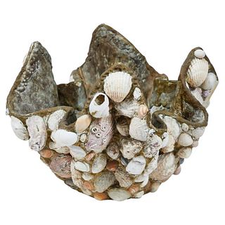 Pot with Shells