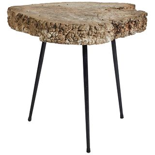 Mid-Century Tree Trunk Table with Slim Metal Legs from France