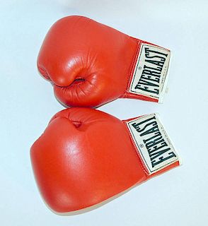 Michael Spinks Boxing Gloves