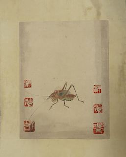 Painting Of A Grasshopper