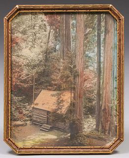 Antique Tinted Photo California Redwood Log Cabin c1910s