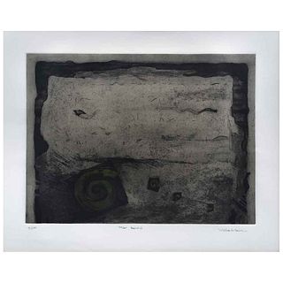JOSÉ VILLALOBOS, Mar valdío, Firmado, Grabado al aguatinta 71/100, 44 x 59 cm
