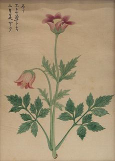 Japanese 19th Century Watercolor