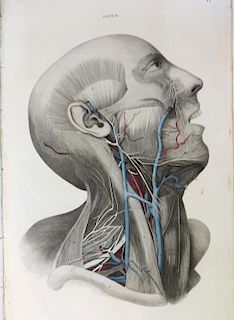 System Of Anatomical Plates By John Lizars