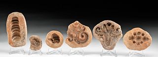 Lot of 6 Rare Gandharan Terracotta Molds