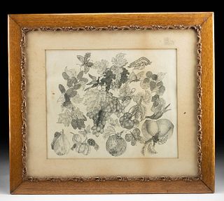 Framed Antique Etching - Fruit, Birds & Butterflies