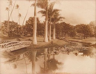 Vintage Hawaiian Photo Moanalua Gardens, Honolulu c1910s