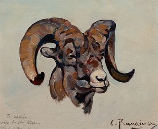 Carl Rungius (1869–1959) — Ram Head