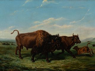 Rudolph Friedrich Kurz (1818–1871) — American Bison