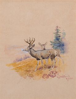 Charles M. Russell (1864–1926) — Deer (1917)