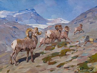 Carl Rungius (1869–1959) — Bighorn Sheep, Nigel Pass, Alberta (1919)