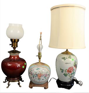 Group of Three Chinese Lamps, to include one ox blood vase raised on a brass base, having paw feet; a vase having a peacock and smaller bird decoratio