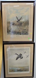 Two Piece Lot of Roland H. Clark (American, 1874 - 1957), "Taking Off, Blue Wing Teal" and "Dropping In, Canada Goose", both aquatints in colors on pa